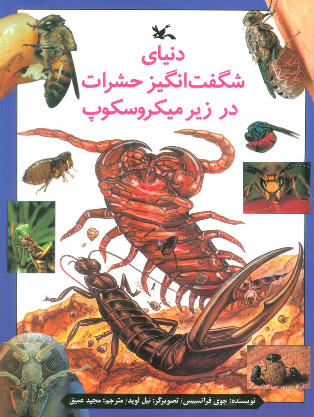 دنیای شگفت انگیز حشرات در زیر میکروسکوپ - ناشربوک | خرید آنلاین کتاب