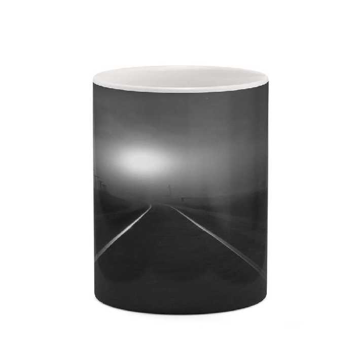 ماگ کاکتی طرح زمینه مشکی فانتزی مدل mgh19553