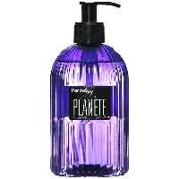 هندولوژی مایع دستشویی رایحه ادکلنی 480 گرم رایحه PLANETE