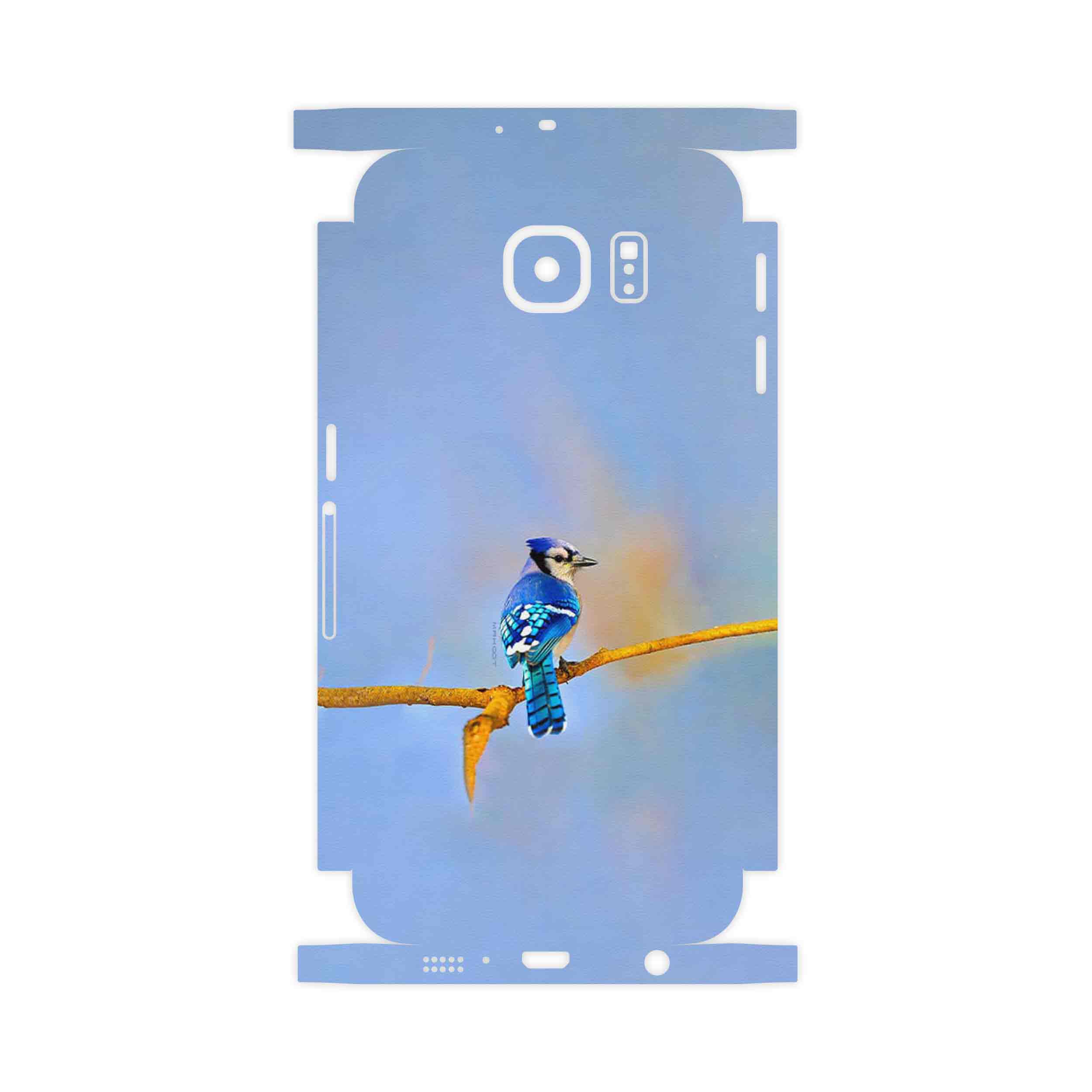 برچسب پوششی ماهوت مدل Cyanocitta cristata-FullSkin مناسب برای گوشی موبایل سامسونگ Galaxy S6