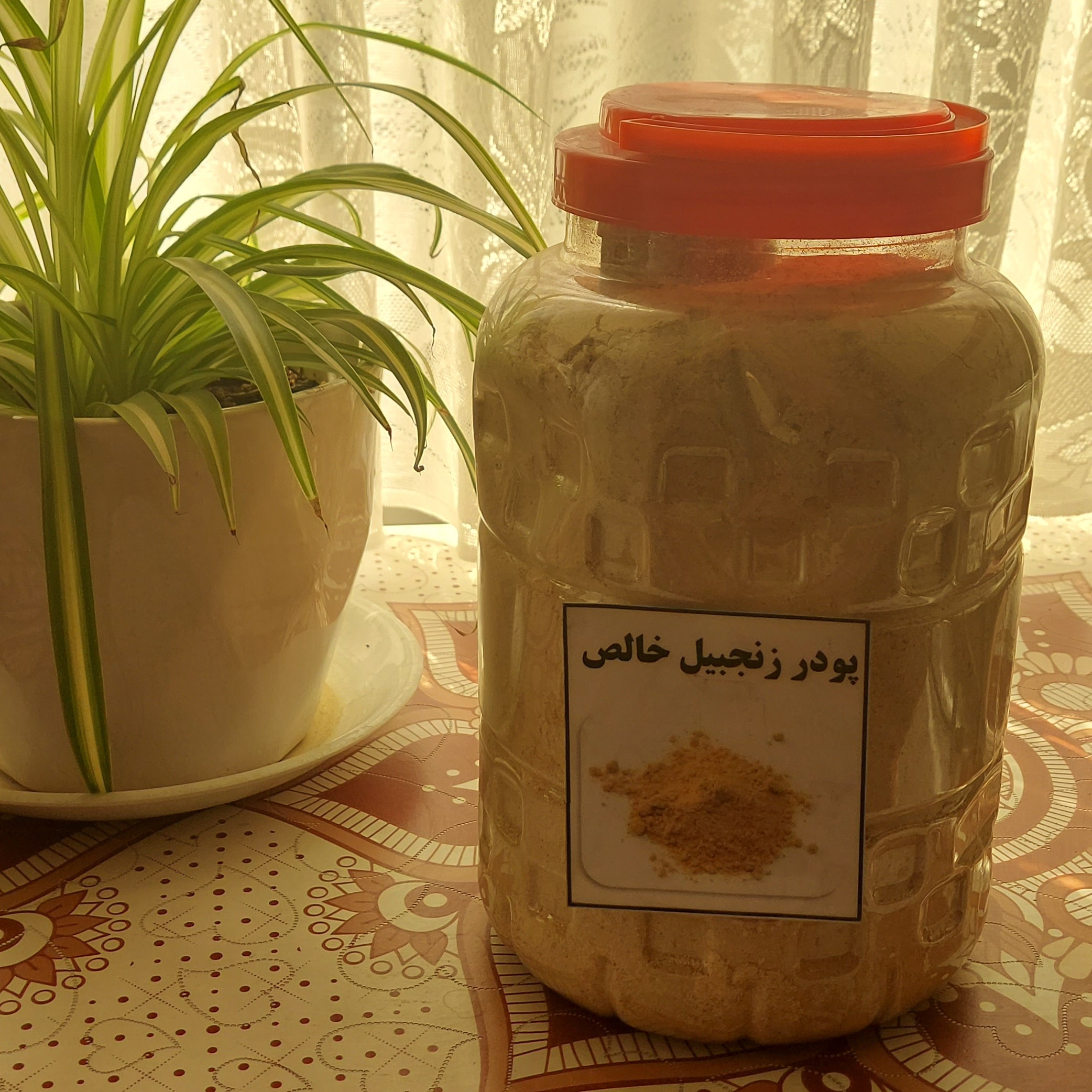 فروش پودر دارچین و پودر  زنجبیل اصل و اعلا بصورت عمده