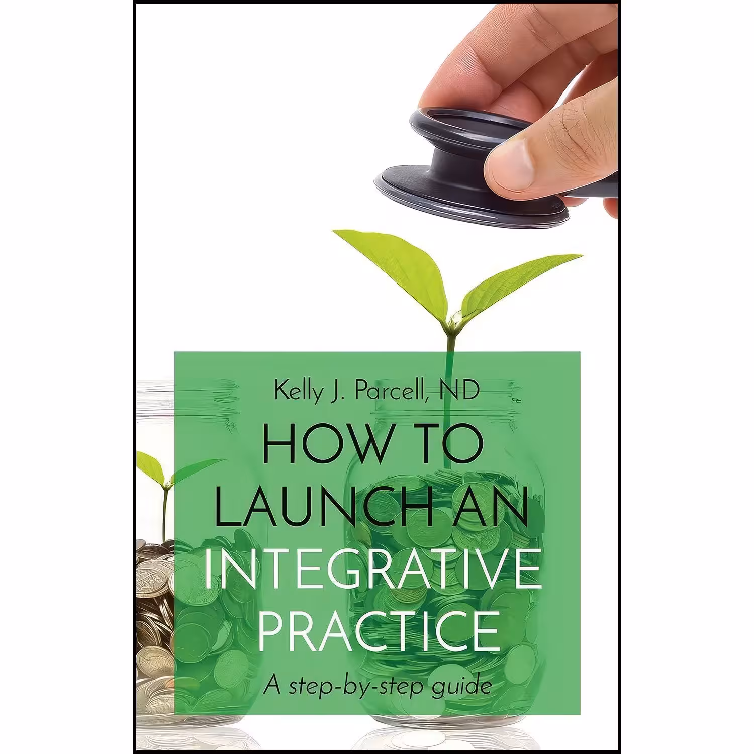 کتاب زبان اصلی How to Launch an Integrative Practice اثر Kelly Parcell
