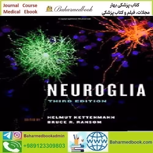 Neuroglia 2013 TRUE PDF price 1€ - کتاب پزشکی بهار