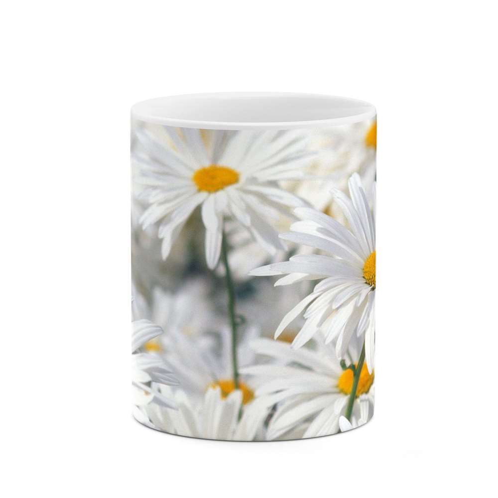 ماگ طرح گل مدل mgs12128