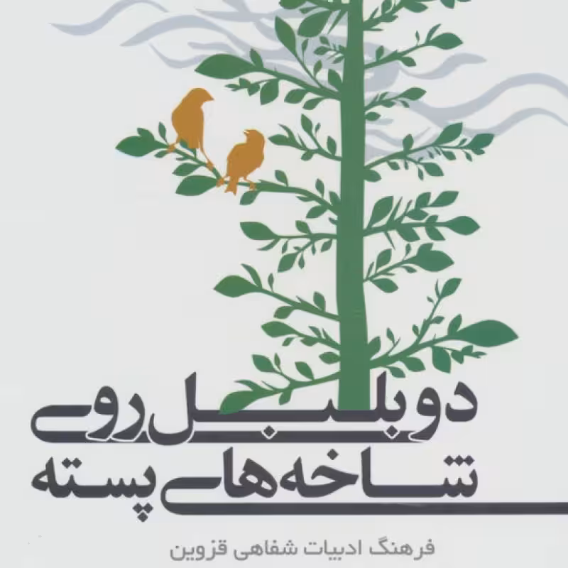 کتاب دو بلبل روی شاخه های پسته