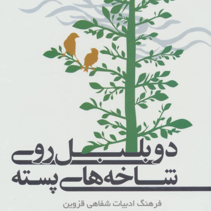 کتاب دو بلبل روی شاخه های پسته