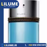 عطر ادکلن بنانا ریپابلیک ویلد بلو 100 میل مردانه