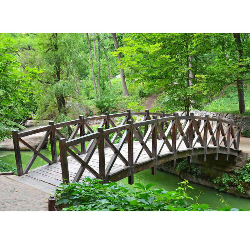 تابلو شاسی کد 400 S | دنیای قاب