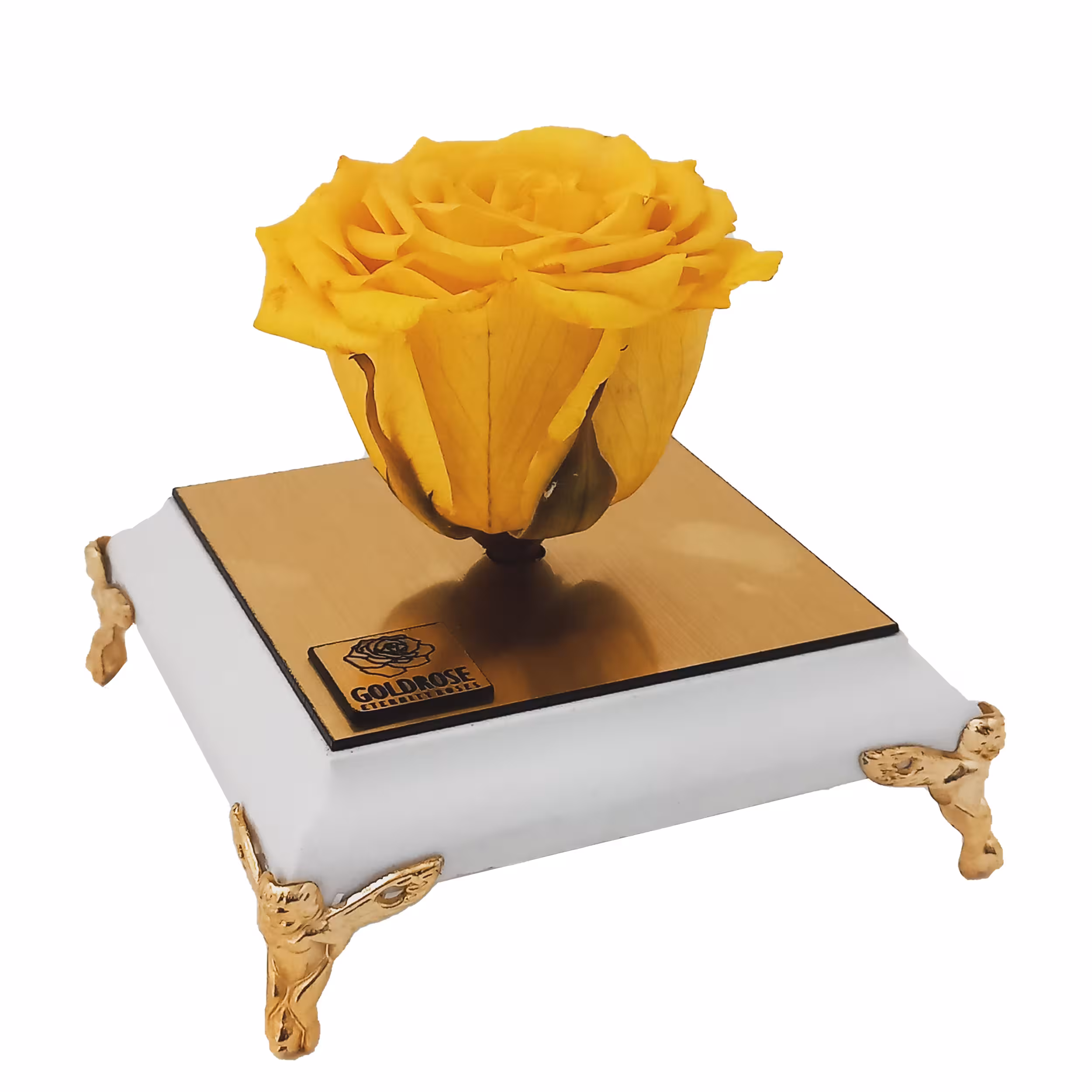 گل رز جاودان مدل Yellow168