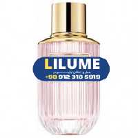 عطر ادکلن استی لودر دزرت ادن 100 میل مردانه – زنانه