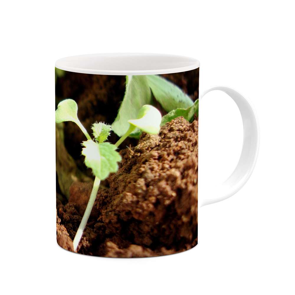 ماگ طرح جوانه مدل mgs10885