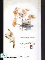 قیمت و خرید کتاب روی شانه های شب اثر مهدی سجودی مقدم | ایده بوک