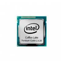 سی پی یو اینتل Pentium Gold G5620