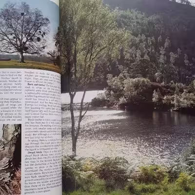 كتاب The Ever-changing Woodlands اثر جمعي از نويسندگان انتشارات The Living Countryside