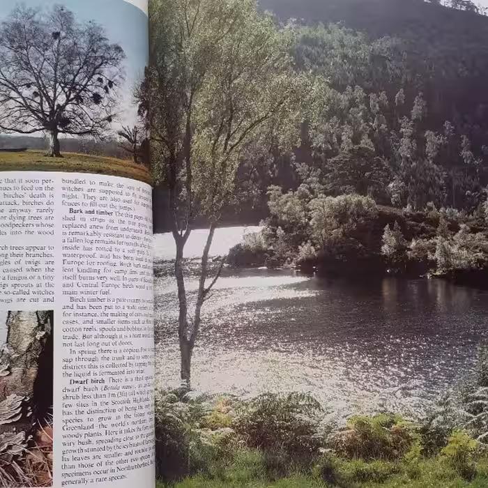 كتاب The Ever-changing Woodlands اثر جمعي از نويسندگان انتشارات The Living Countryside
