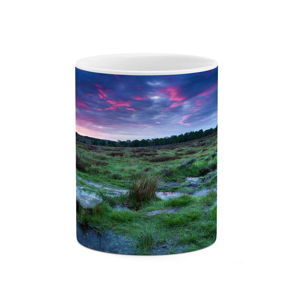 ماگ کاکتی طرح منظره مدل mgs15700