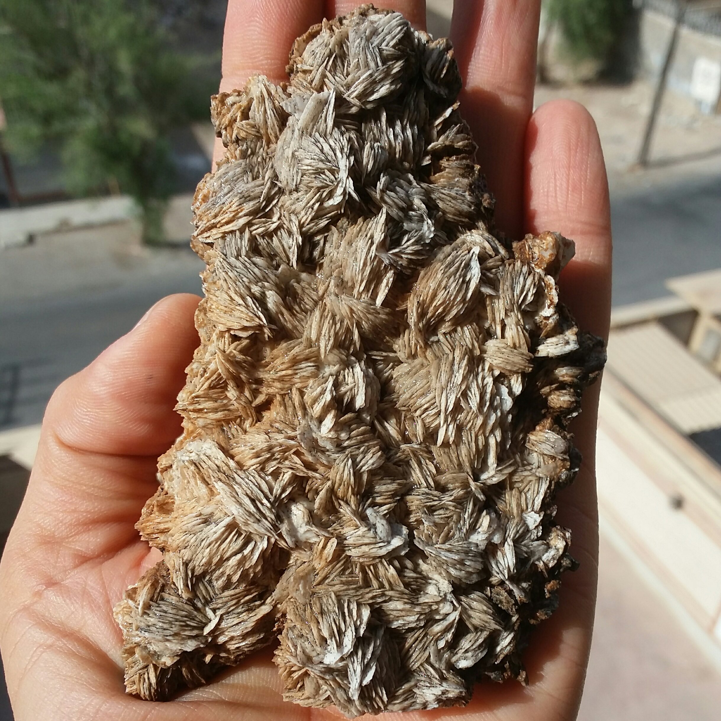 نمونه فوق کلکسیونی باریت غووولپیکر بسیااااااااار زیبا 100 در 100 طبیعی شاهکار خلقت بی نظیر محشششششر و تک خارق العاده
