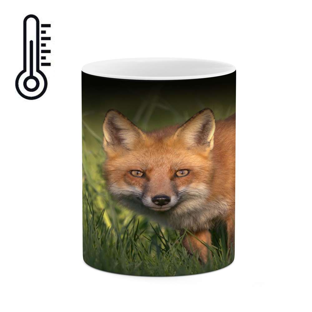 ماگ حرارتی کاکتی طرح روباه مدل mgh16559