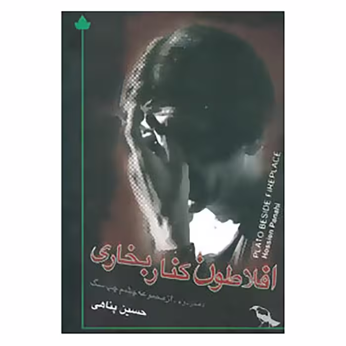 کتاب افلاطون کنار بخاری اثر حسین پناهی