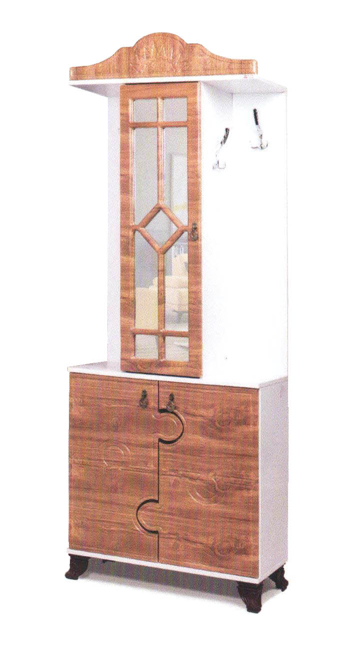 رختکن وکیومی R306