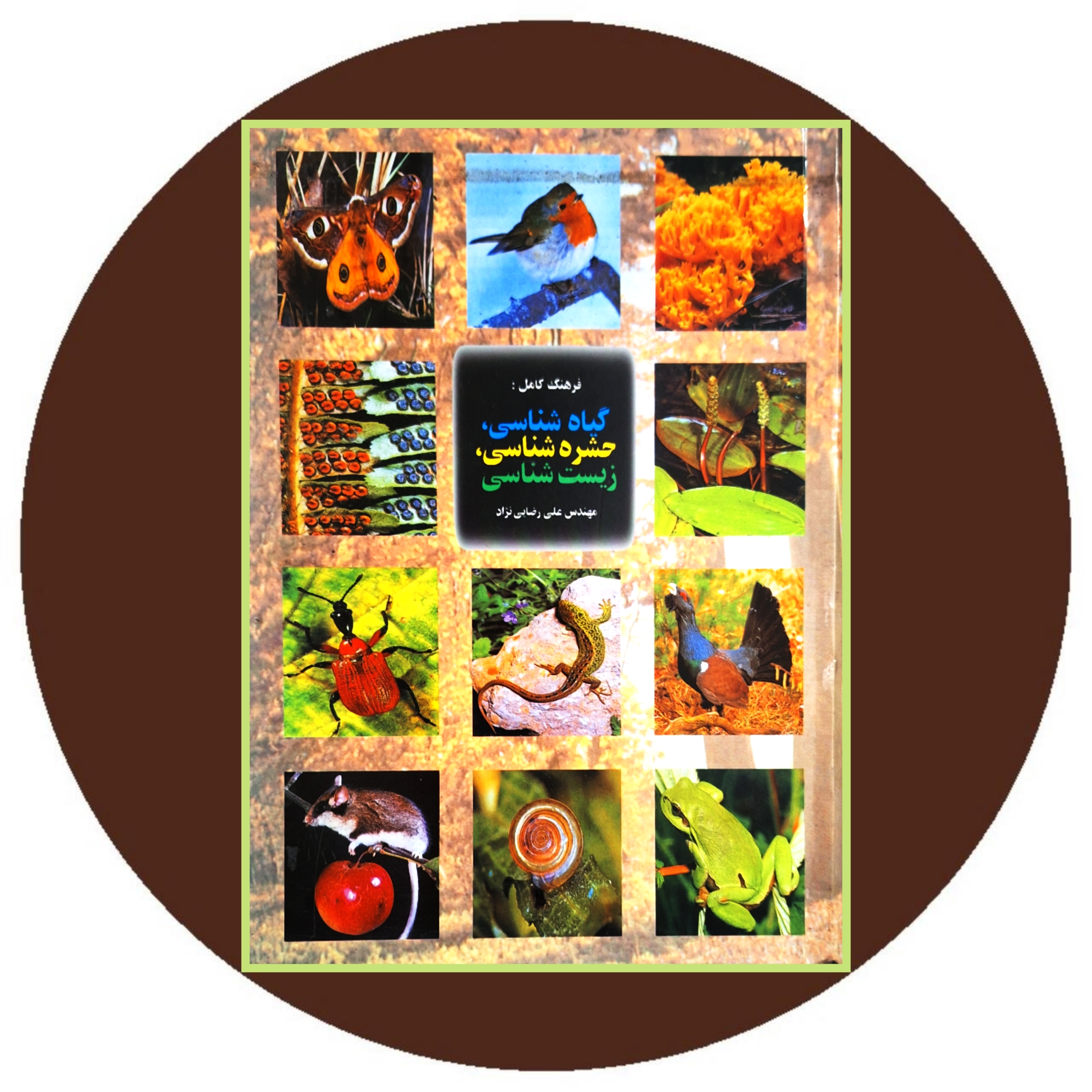 کتاب فرهنگ کامل گیاه‌شناسی، حشره‌شناسی و زیست‌شناسی - خرید از کتاب دایره قهوه ای