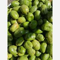 زیتون شکسته تلخ و چرب (3کیلویی) سوپر ویژه مخلوط تضمین کیفیت مستقیم بدون واسطه از باغدار خرید کنید