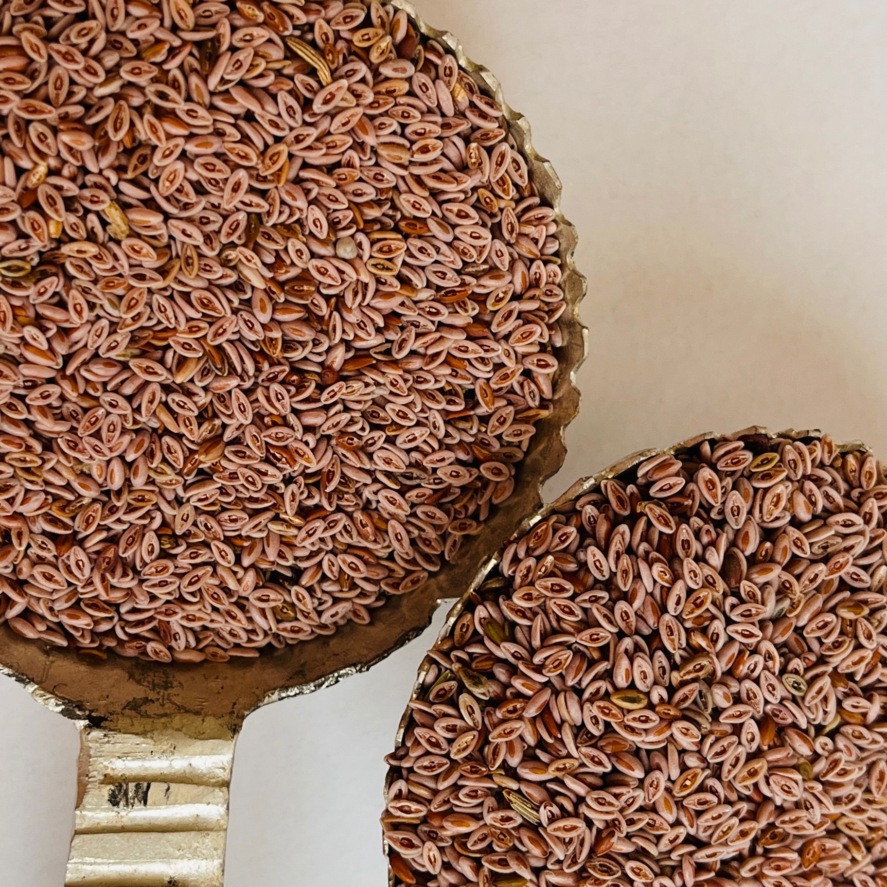 دانه اسفرزه وزن200گرم