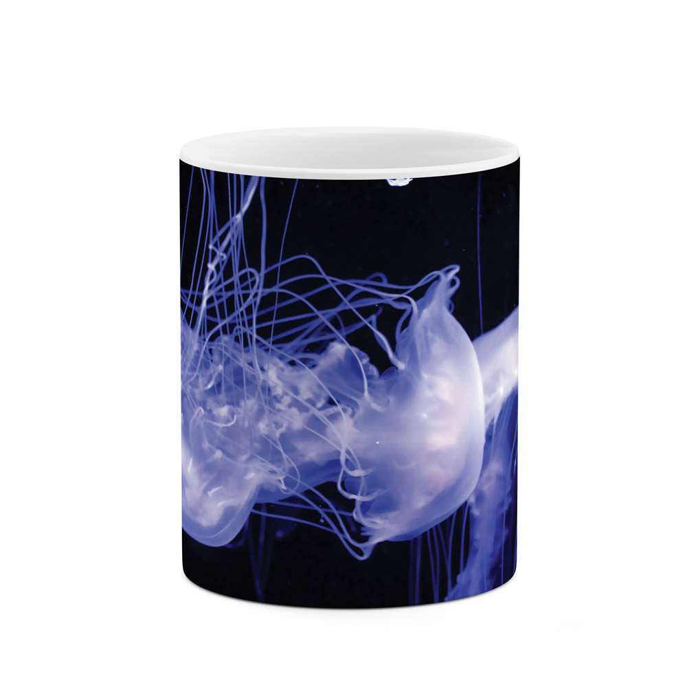 ماگ طرح فانتزی مدل mgs07295