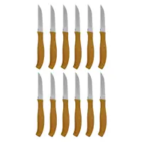 چاقو میوه خوری رومانتیک هوم کد F2009-SW بسته 12 عددی