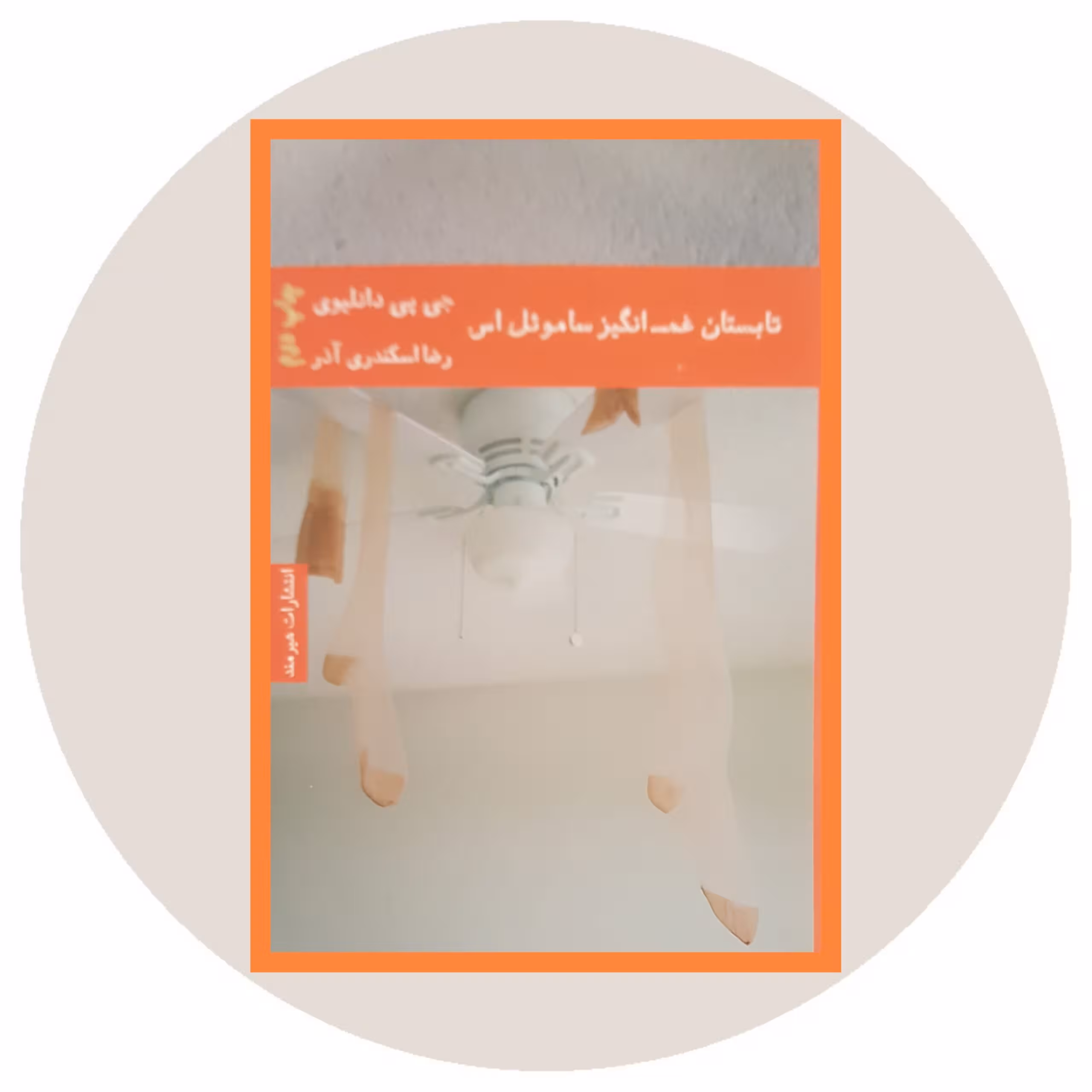 کتاب تابستان غم‌انگیز ساموئل اس - خرید با تخفیف چهل درصد ازکتاب دایره قهوه ای -