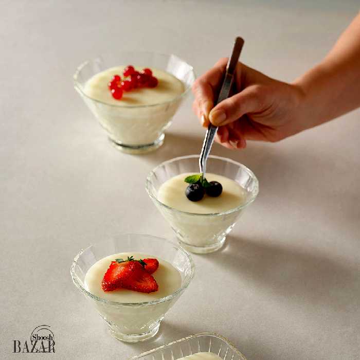 بستنی خوری کوچک وانیلا پاشاباغچه کد 530436