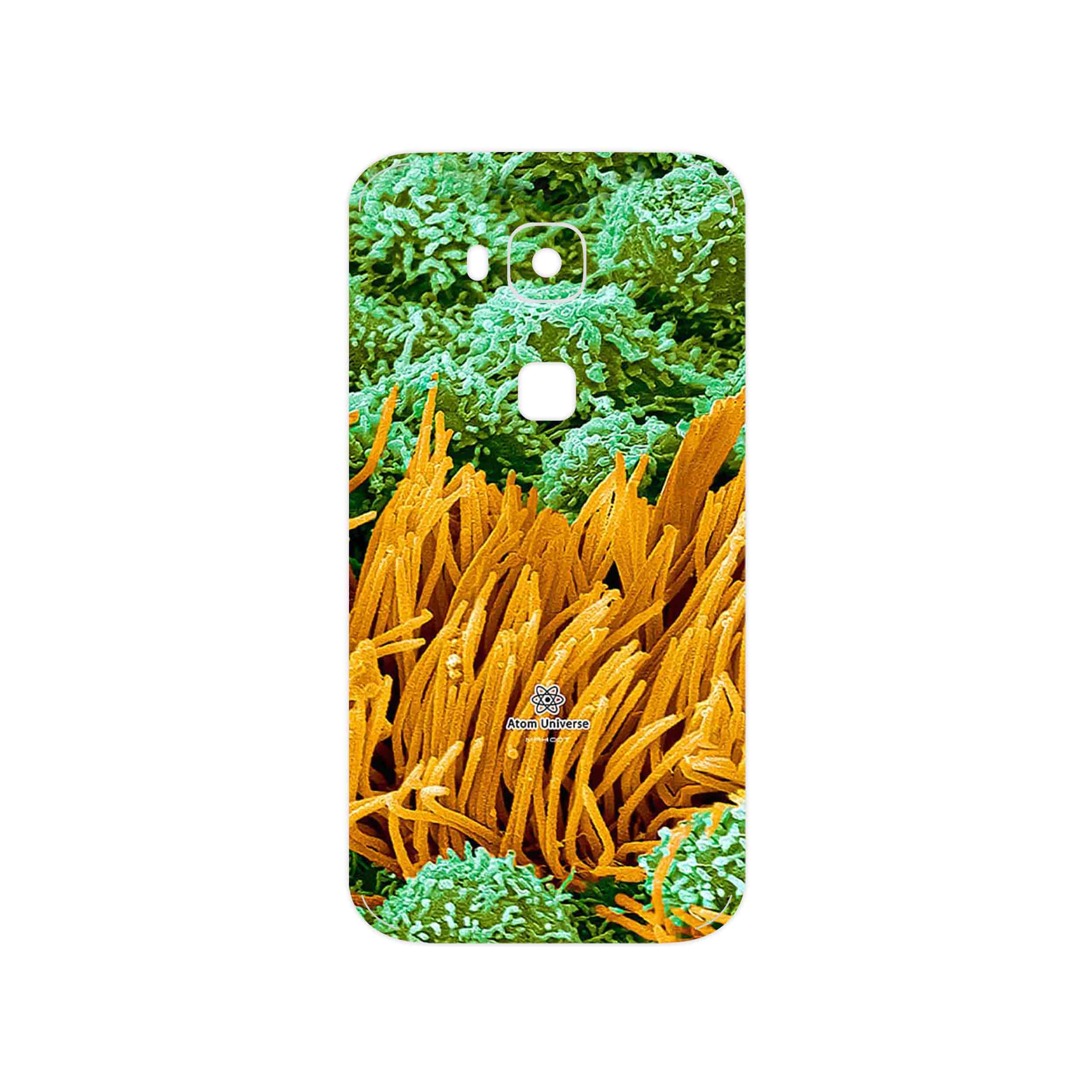 برچسب پوششی ماهوت مدل Atom Universe 6 مناسب برای گوشی موبایل هوآوی Ascend G8