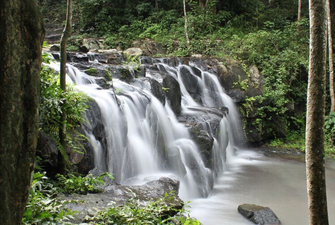 خرید و دانلود عکس Nature-Part-5 کد 36962 | پیک فاکس | Pic Fox