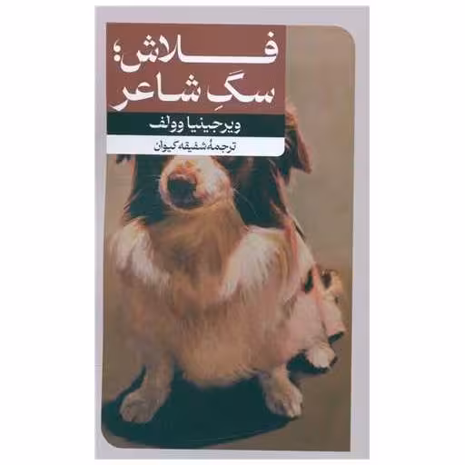 کتاب فلاش (سگ شاعر) اثر ویرجینیا وولف