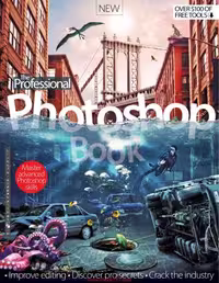 خرید و دانلود نسخه کامل کتاب The Professional Photoshop Book