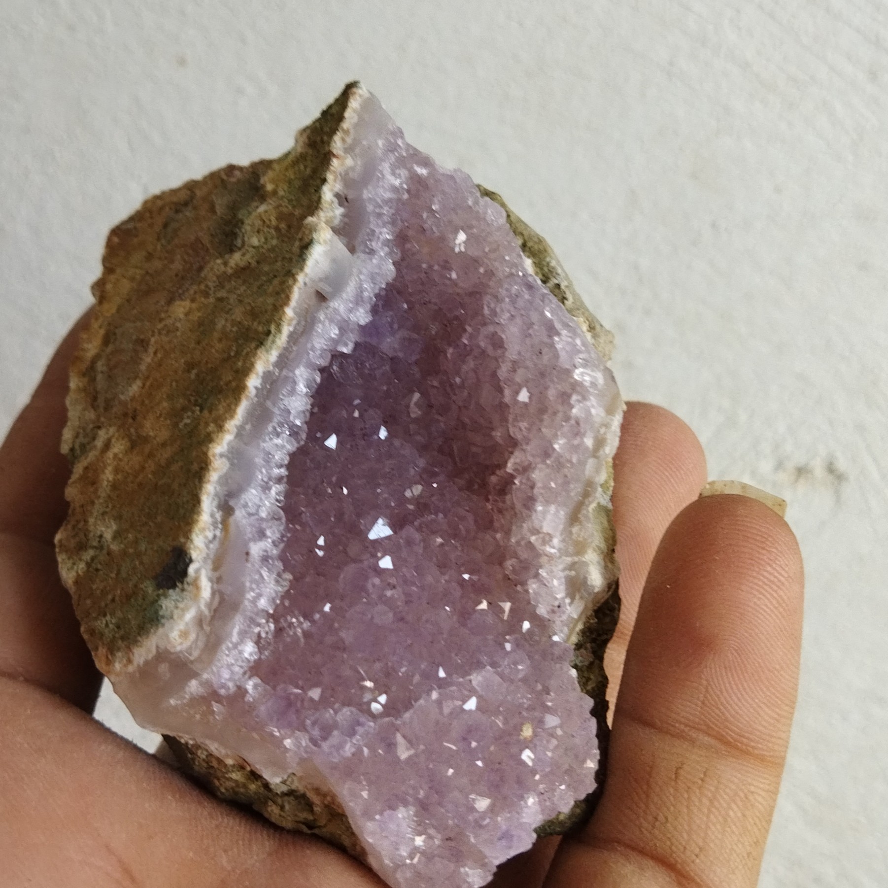 امیتیست راف...