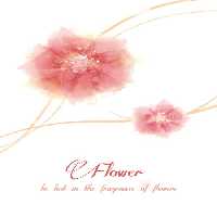 خرید و دانلود عکس ShutterStock-2014-Backgrounds &amp; Textures کد 53154 | پیک فاکس | Pic Fox
