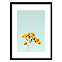 قیمت و خرید تابلو دکوراتیو مدل عکاسی مینیمال گل کد 1674