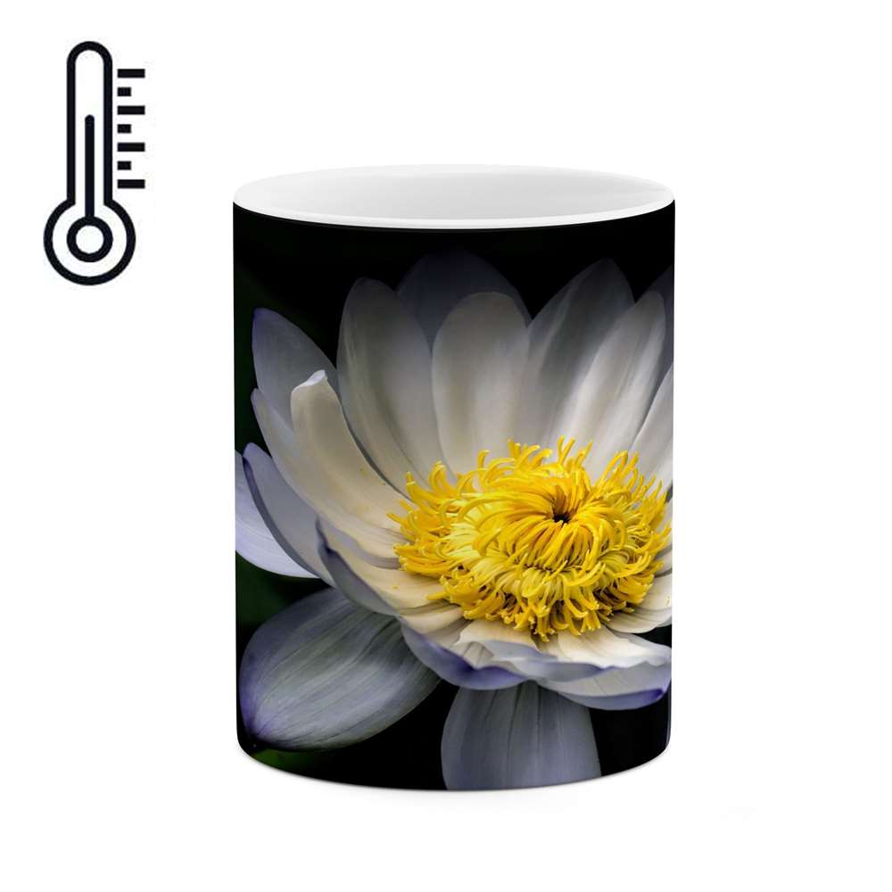 ماگ حرارتی کاکتی طرح گل مدل mgh17682