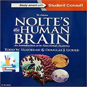 Nolte’s The Human Brain An Introduction to its Functional Anatomy 7ed PDF VIDEO at 5€ - کتاب پزشکی بهار