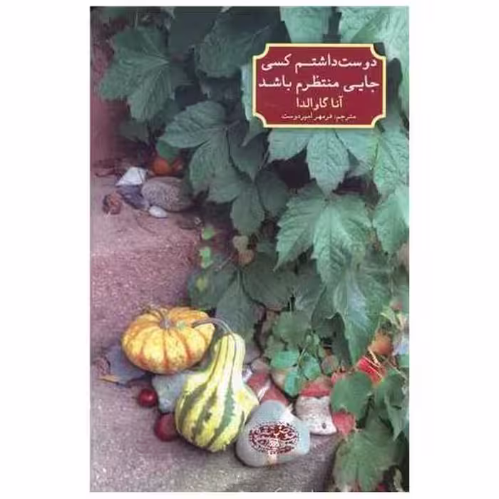 کتاب دوست داشتم کسی جایی منتظرم باشد اثر آنا گاوالدا
