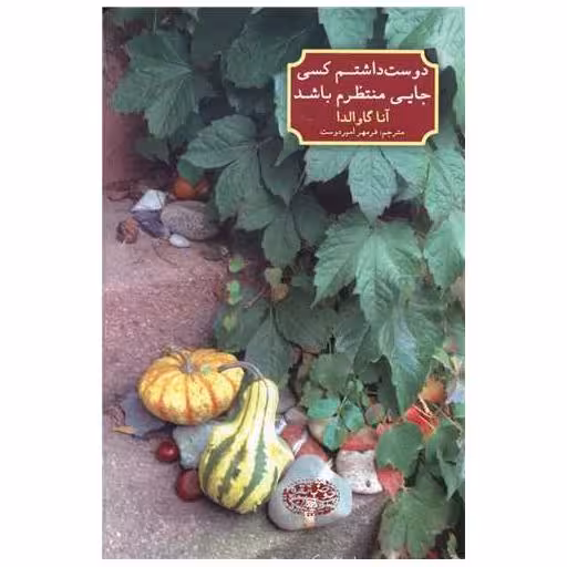 کتاب دوست داشتم کسی جایی منتظرم باشد اثر آنا گاوالدا