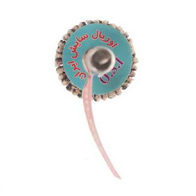 سنباده چتری اوریال سایش ایران کد A20