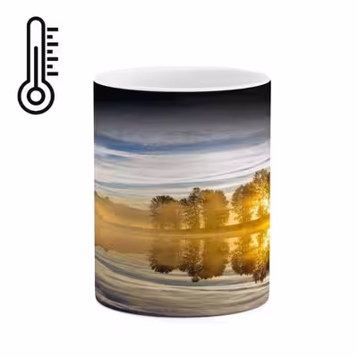 ماگ حرارتی کاکتی طرح فانتزی مدل mgh15782