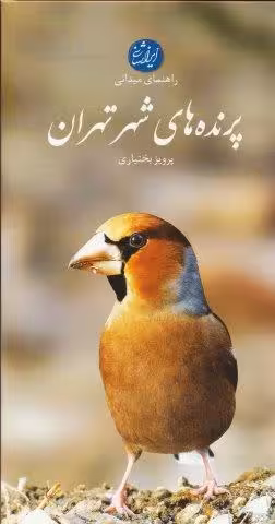 پرنده های شهر تهران (راهنمای میدانی)،(گلاسه)