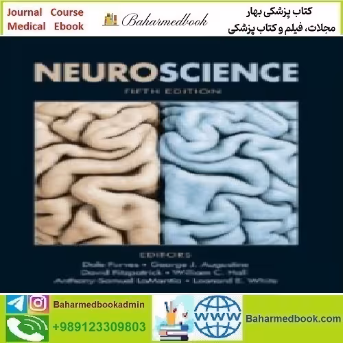 Purves' Neuroscience 2012 TRUE PDF price 1€ - کتاب پزشکی بهار