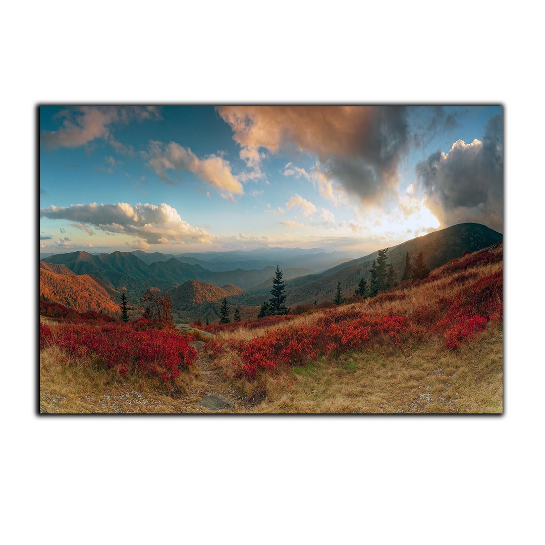 تابلو شاسی بکلیت طرح منظره دشت و کوهستان مدل SH-S3005