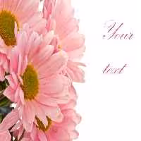 خرید و دانلود عکس Flower-Part-2 کد 17754 | پیک فاکس | Pic Fox