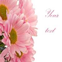 خرید و دانلود عکس Flower-Part-2 کد 17754 | پیک فاکس | Pic Fox