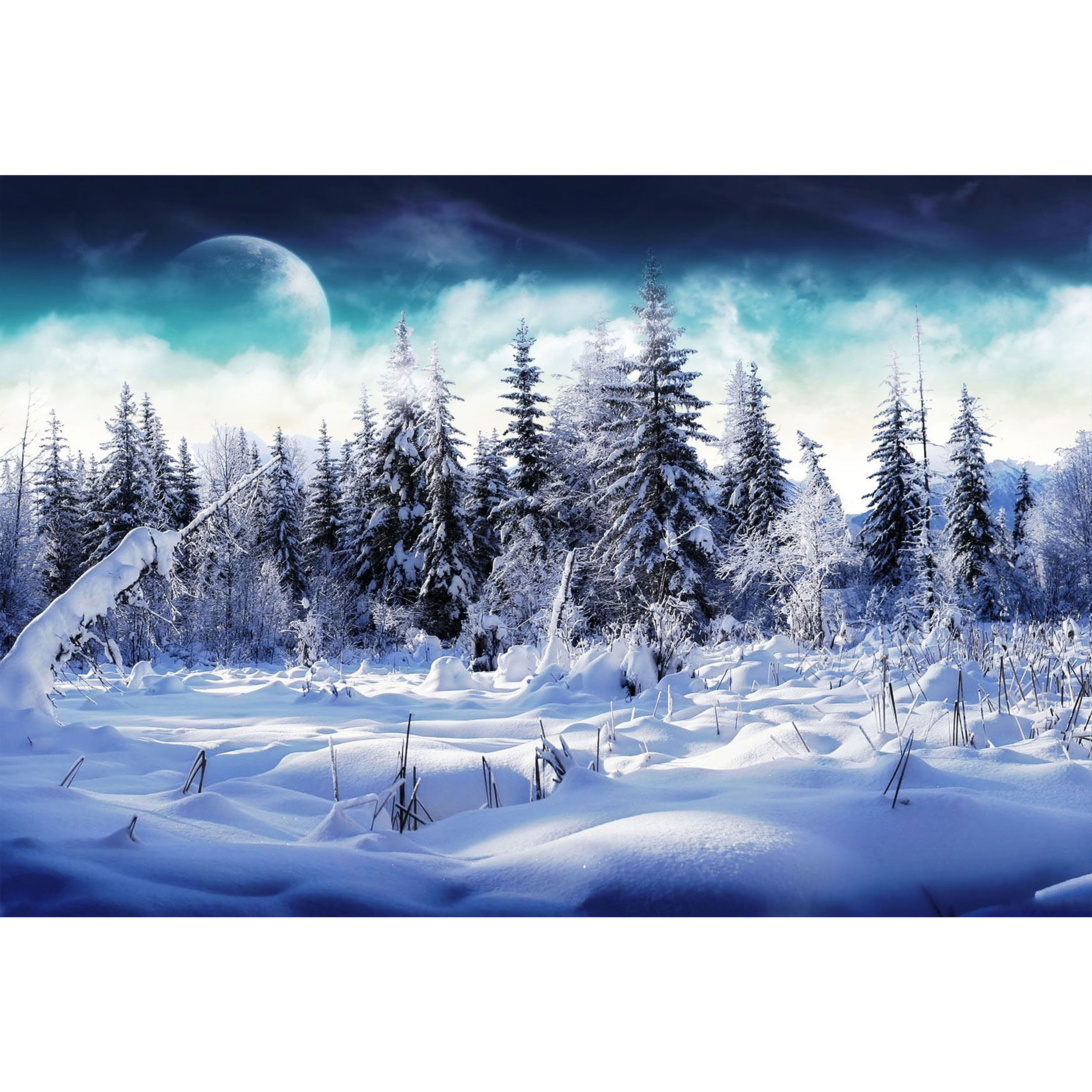 تابلو شاسی طرح منظره برفی مدل T1386